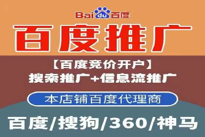 探索百度竞价代理的未来发展趋势与挑战